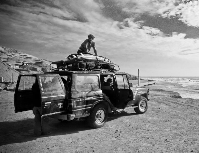 Wild Kite Peru